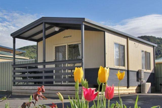 Apollo Bay Holiday Park Pokój zdjęcie